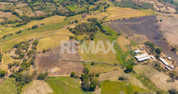 SONSONATE, HACIENDA GANADERA Y AGRÍCOLA EN PRODUCCIÓN. CONEXIÓN DIRECTA CON ACAJUTLA