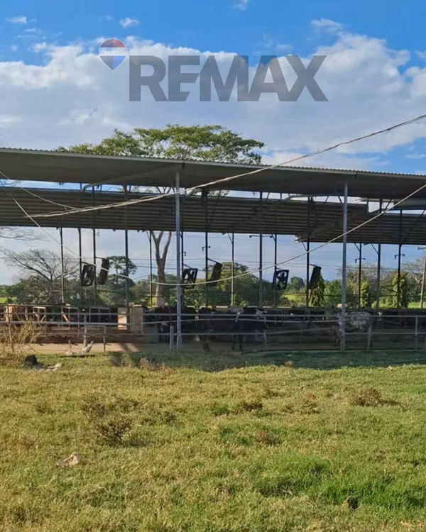 SONSONATE, HACIENDA GANADERA Y AGRÍCOLA EN PRODUCCIÓN. CONEXIÓN DIRECTA CON ACAJUTLA
