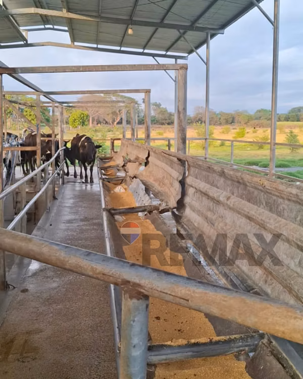 SONSONATE, HACIENDA GANADERA Y AGRÍCOLA EN PRODUCCIÓN. CONEXIÓN DIRECTA CON ACAJUTLA