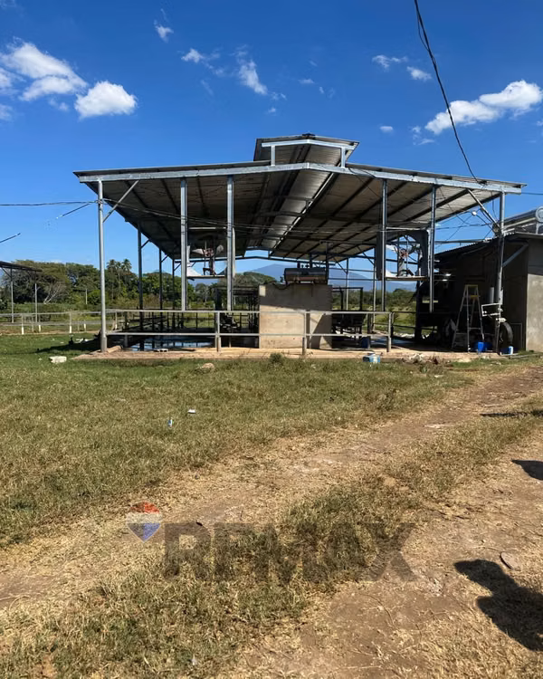 SONSONATE, HACIENDA GANADERA Y AGRÍCOLA EN PRODUCCIÓN. CONEXIÓN DIRECTA CON ACAJUTLA