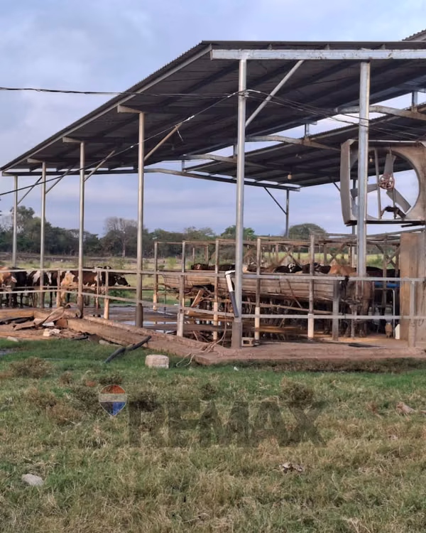 SONSONATE, HACIENDA GANADERA Y AGRÍCOLA EN PRODUCCIÓN. CONEXIÓN DIRECTA CON ACAJUTLA