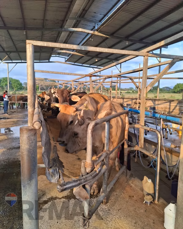 SONSONATE, HACIENDA GANADERA Y AGRÍCOLA EN PRODUCCIÓN. CONEXIÓN DIRECTA CON ACAJUTLA