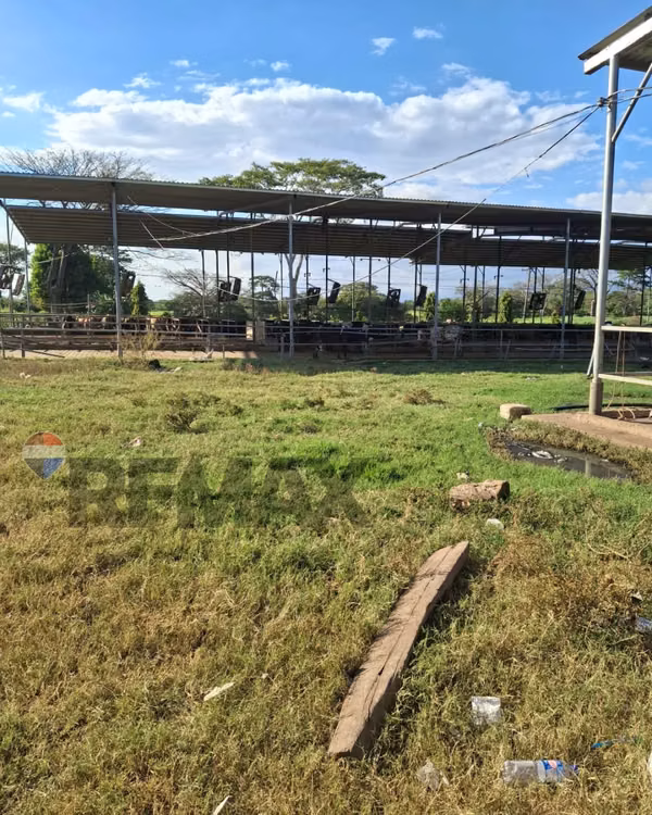 SONSONATE, HACIENDA GANADERA Y AGRÍCOLA EN PRODUCCIÓN. CONEXIÓN DIRECTA CON ACAJUTLA