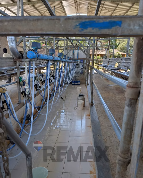 SONSONATE, HACIENDA GANADERA Y AGRÍCOLA EN PRODUCCIÓN. CONEXIÓN DIRECTA CON ACAJUTLA