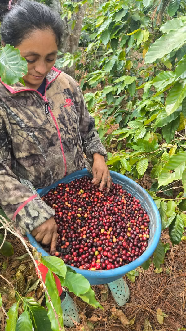 VENDO FINCA EN TECAPA ALEGRIA, USULUTAN