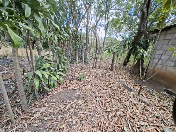 VENTA 2 LOTES JUNTOS EN EL ZACATAL EL CONGO