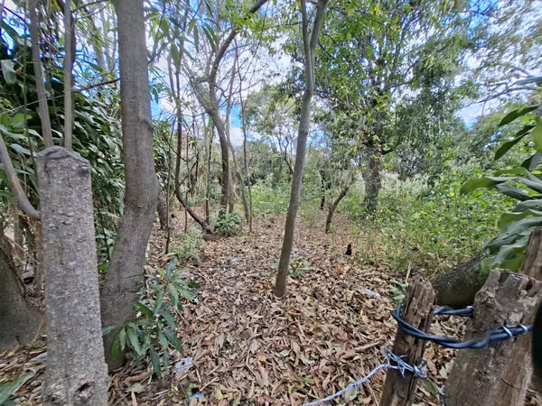 VENTA 2 LOTES JUNTOS EN EL ZACATAL EL CONGO