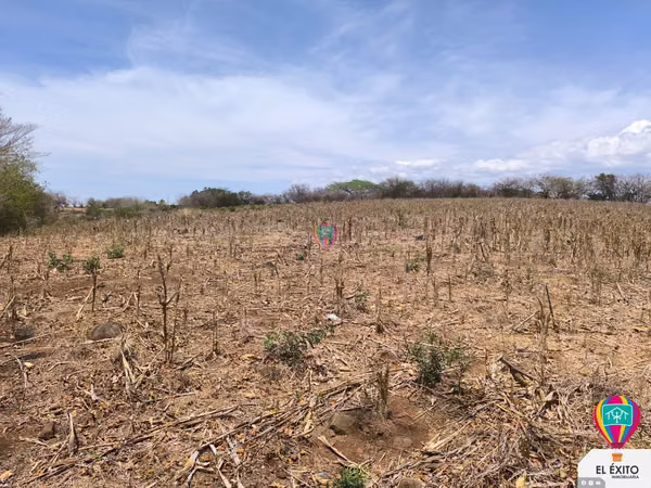 VENDO PRECIOSO TERRENO DE 6 MANZANAS EN ACAJUTLA, SONSONATE