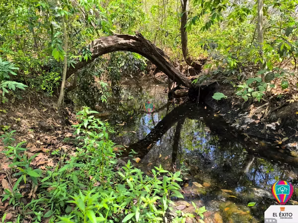 VENDO PRECIOSO TERRENO DE 6 MANZANAS EN ACAJUTLA, SONSONATE
