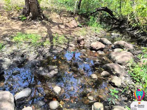 VENDO PRECIOSO TERRENO DE 6 MANZANAS EN ACAJUTLA, SONSONATE