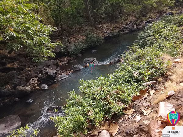 VENDO PRECIOSO TERRENO DE 6 MANZANAS EN ACAJUTLA, SONSONATE