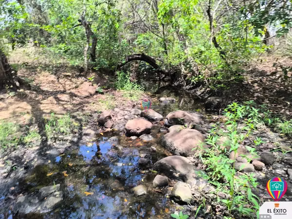 VENDO PRECIOSO TERRENO DE 6 MANZANAS EN ACAJUTLA, SONSONATE