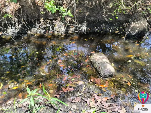 VENDO PRECIOSO TERRENO DE 6 MANZANAS EN ACAJUTLA, SONSONATE