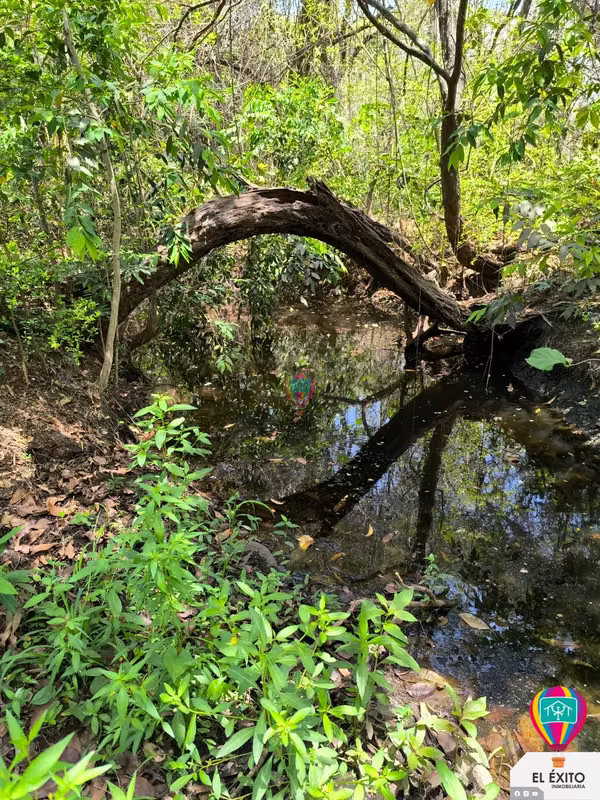 VENDO PRECIOSO TERRENO DE 6 MANZANAS EN ACAJUTLA, SONSONATE