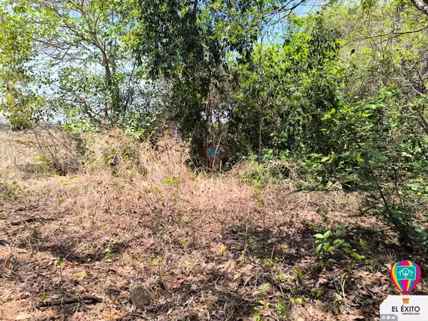 VENDO PRECIOSO TERRENO DE 6 MANZANAS EN ACAJUTLA, SONSONATE