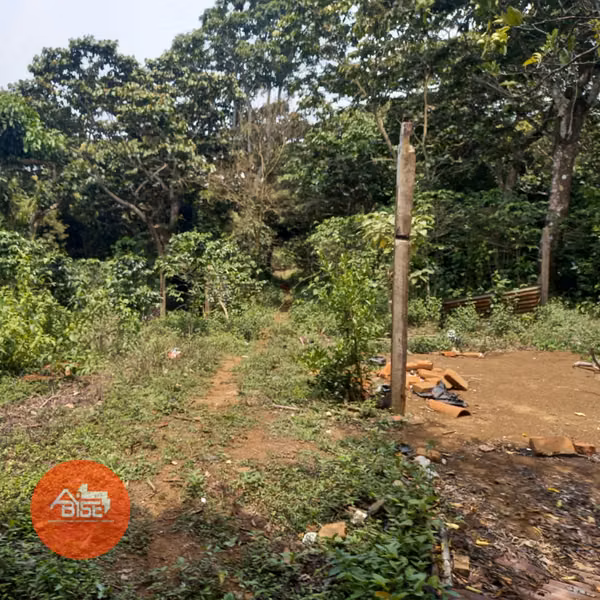 ENVIRONMENT IN APANECA 2000V ² - Ideal for investment or tourism project