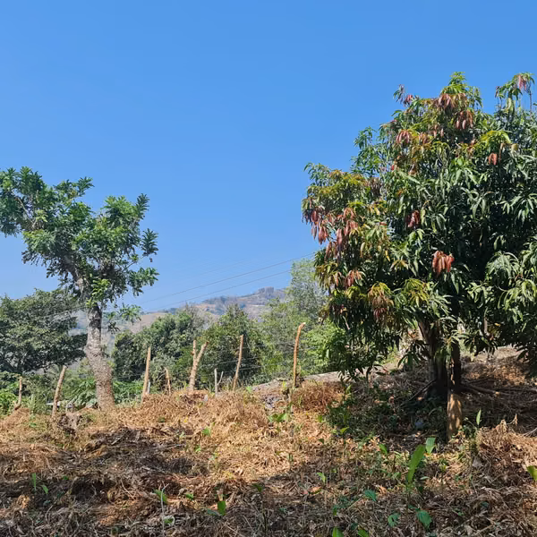 Bonito terreno en, carretera a Panchimalco,  a 45 minutos de San Salvador,