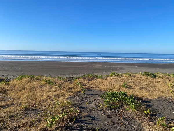PREMIUM LAND FOR SALE IN SIHUAPILAPA BEACH