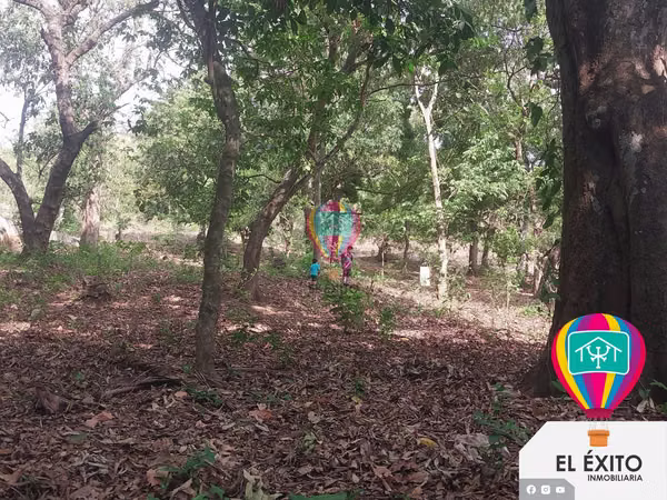 VENDO PRECIOSO TERRENO DE 5 MANZANAS EN IZALCO, SONSONATE