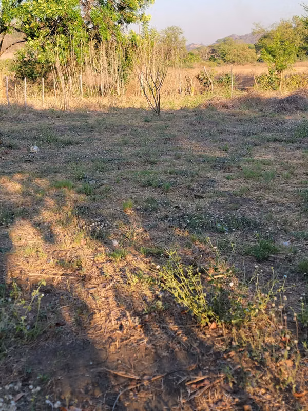 Lotes 10x35 en San Miguel al 0% Interés y Cuotas de $310