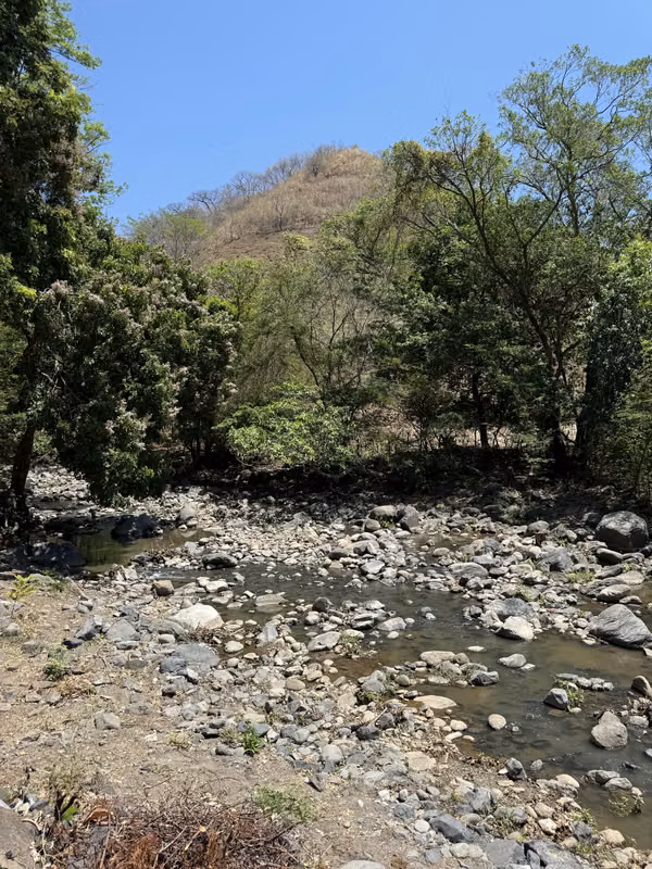 Land for sale La Libertad Lotifications Green Forest