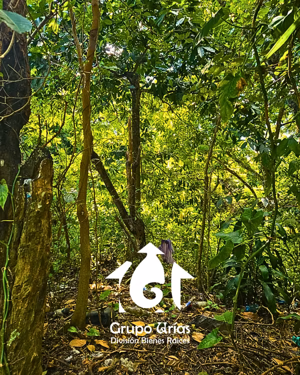 TERRENO EN VENTA - SAN SALVADOR