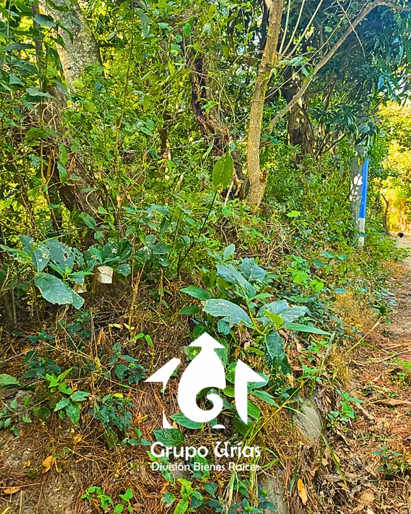 TERRENO EN VENTA - SAN SALVADOR