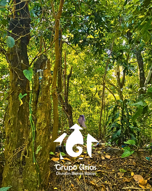 TERRENO EN VENTA - SAN SALVADOR
