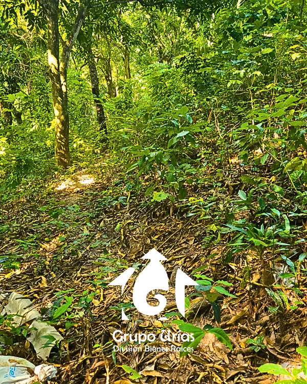 TERRENO EN VENTA - SAN SALVADOR