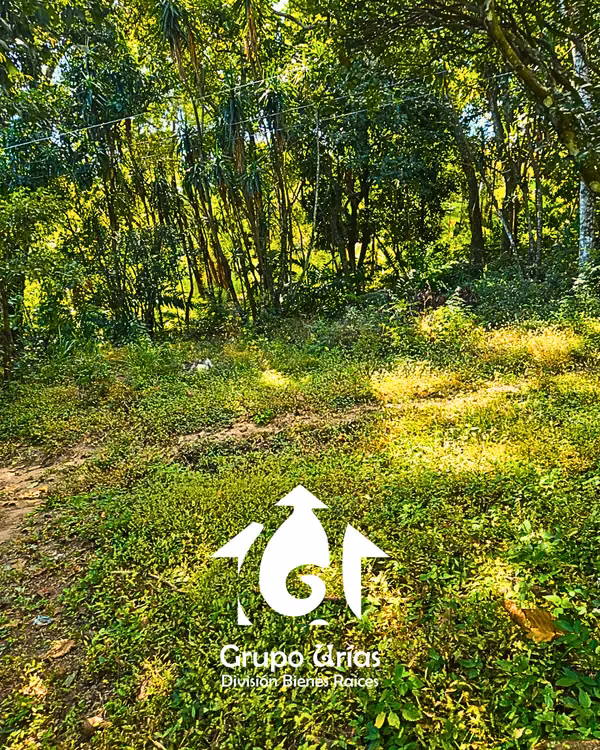 LAND FOR SALE - SAN SALVADOR