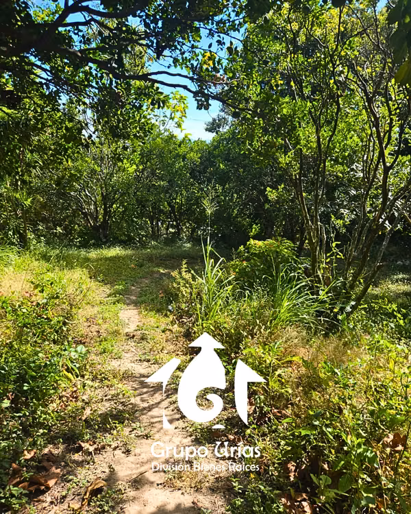 LAND FOR SALE - SAN SALVADOR