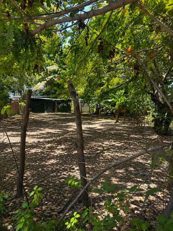 Terreno de 600 Varas² con Casa Incluida en San Luis Talpa