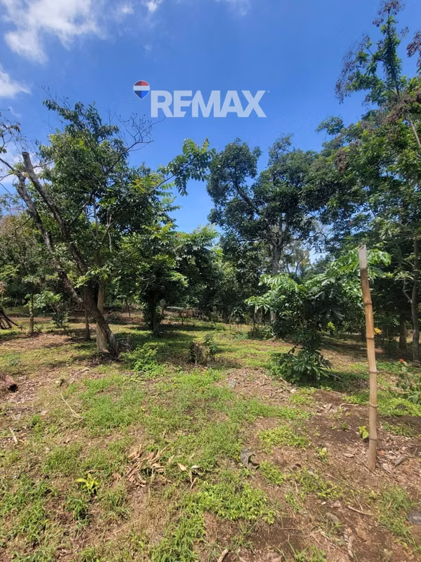JUAYÚA, TERRENOS EN VENTA. PLANOS, A 8 MIN DEL CENTRO DE JUAYUA