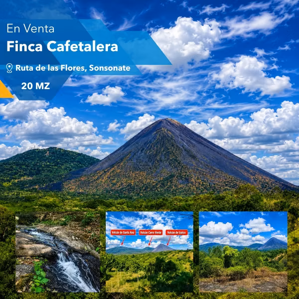 EN VENTA 20 MZ DE FINCA CAFETERA EN RUTA DE LAS FLORES, SONSONATE, EL SALVADOR