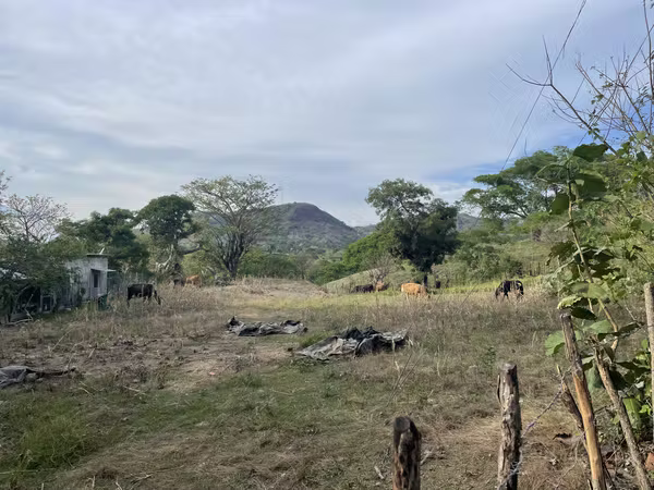 VENTA DE 8.66 MANZANAS DE TERRENO EN SAN FRANCISCO EL DORADO, SN ISIDRO, CABAÑAS
