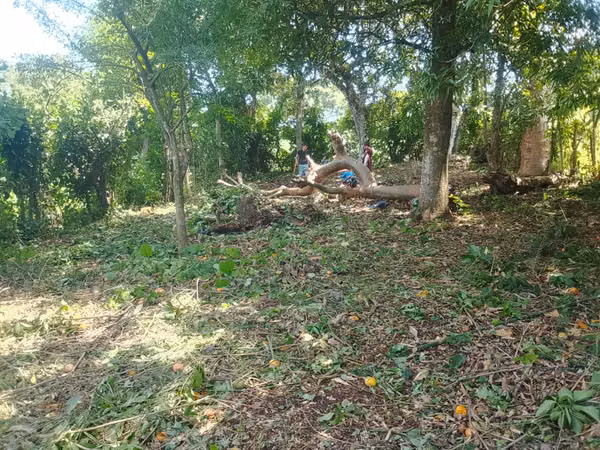HACIENDA LAS TRES CEIBA