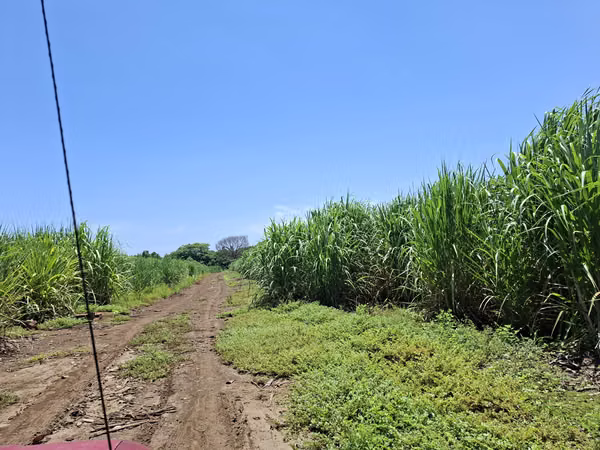 VENTA 83.5 MANZANAS AREA KILO 5 SONSONATE