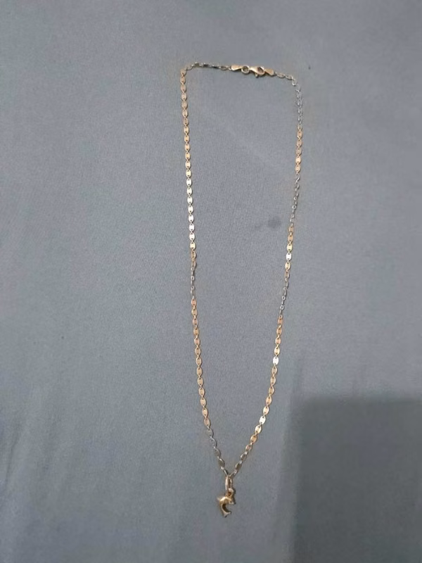 Silver chain with dolphin's saying