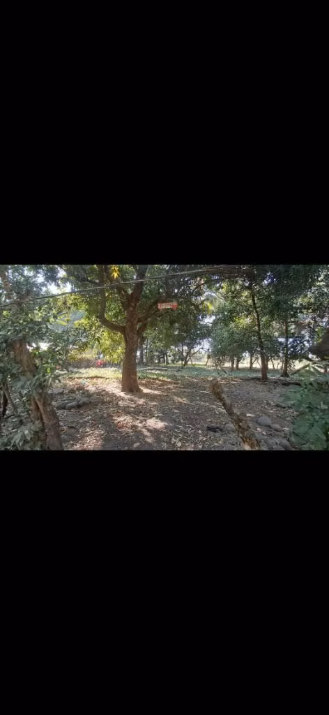 UN TERRENO EN VENTA