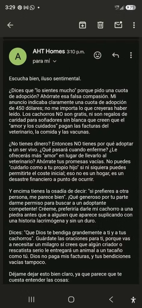 Perros en adopcion-AHT HOMES- NO CAIGAS EN ESTAFA