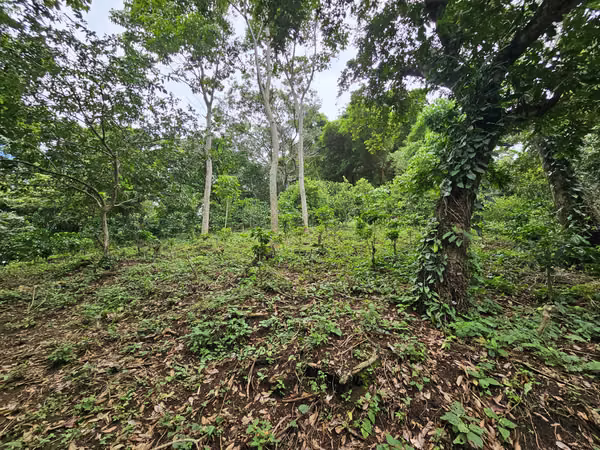 Venta de finca en Usulután