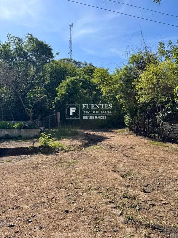 VENTA TERRENO AGRICOLA SONSONATE CANTON SALINAS DE AYACACHAPA