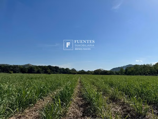 VENTA TERRENO AGRICOLA SONSONATE CANTON SALINAS DE AYACACHAPA