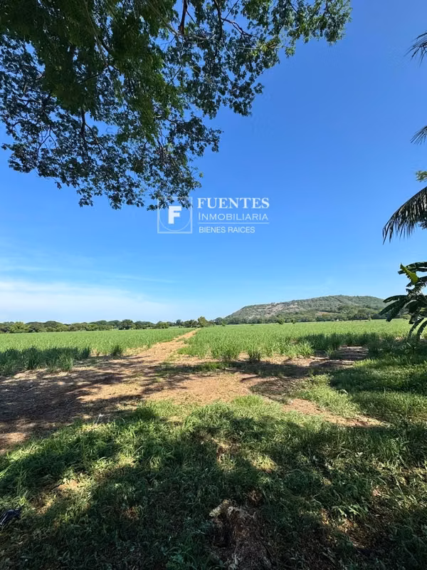 VENTA TERRENO AGRICOLA SONSONATE CANTON SALINAS DE AYACACHAPA