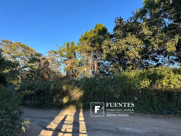 VENTA TERRENO ZACATECOLUCA
