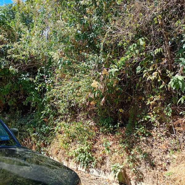 Se vende terreno