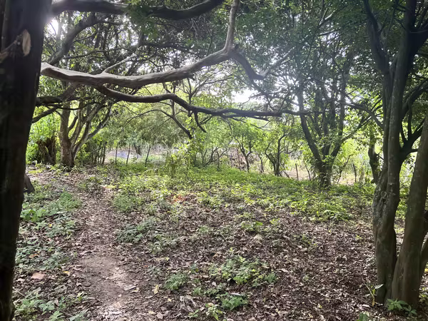 Terrenos en Venta San Vicente