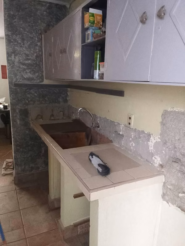Consulte su trabajo garantizado en todos en ramo de la construcción y reparaciones varias