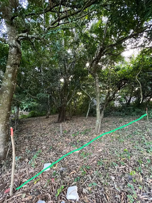 TERRENO RESIDENCIAL / COMERCIAL CON UBICACIÓN PRIVILEGIADA