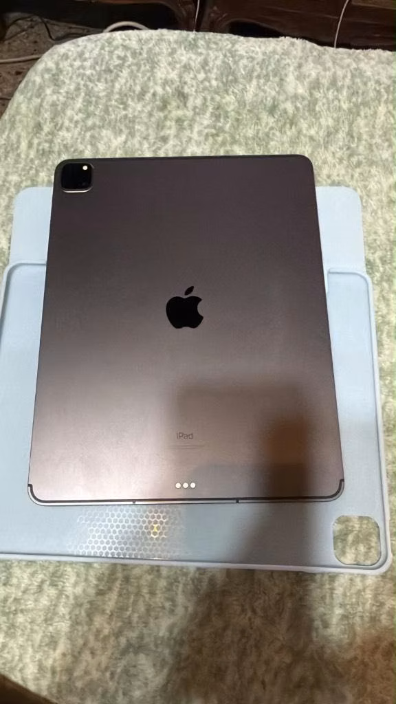 iPad Pro 12.9" (5a generación)